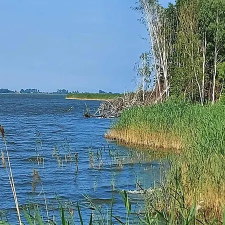 Reetdachhaus Am Bodden Mit Sauna Fuhlendorf (Mecklenburg-Vorpommern)