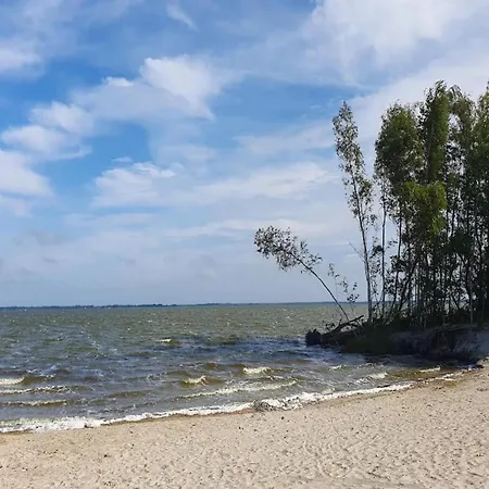 Reetdachhaus Am Bodden Mit Sauna * Fuhlendorf (Mecklenburg-Vorpommern)