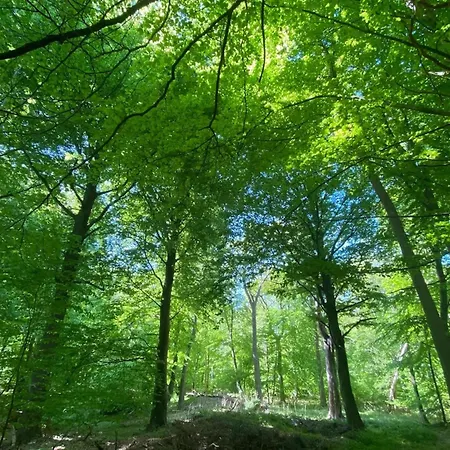 Reetdachhaus Am Bodden Mit Sauna Prázdninový dům